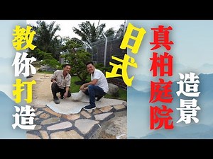 真柏庭院造景 | 教你如何打造日式真柏造景