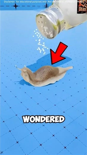 These Tiny Crystals Can Kill Slugs 😱🐌