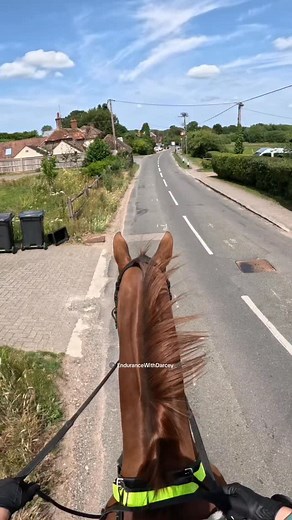9M views · 144K reactions | Horse safety inspector Max knows you love a jump scare! #horse #equestrian #horseriding #equine #horses #gopro #horsesofinstagram | EndurancewithDarcey | Facebook