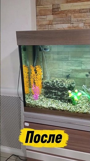 Замена декораций в аквариуме 700 л у клиента. #aquarium #рыба #fishtank #bluebettafish