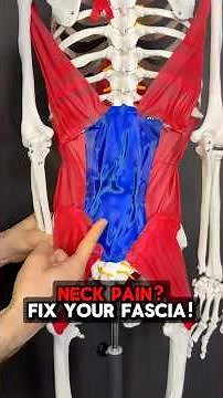 Neck Pain? Try This FASCIA Fix!