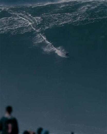 World Record Wave Surpassed 🌊🐺