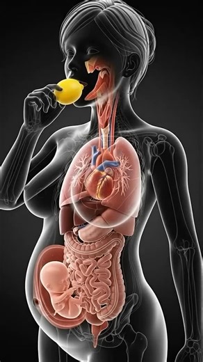 DIMA on Instagram: "Explore the incredible design of the human body through this anatomy video, where structure meets function. From bones and muscles to organs and systems, this visual journey reveals how every part works together to keep us alive and moving. A deeper look at human anatomy helps us understand health, disease, and the science behind everyday life. Hashtags: #HumanAnatomy #AnatomyVideo #HumanBody #MedicalEducation #AnatomyLearning MedicalContent BodySystems Physiology Medicine He