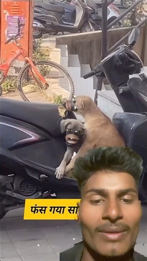 फंस गया साला कुता 😂#funny #thetharpuns #shilpisaroja #comedy