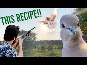 DOVE HUNTING! ~Catch Clean Cook~ (Brazilian Pepper Honey Glazed Recipe) DELICIOUS! Florida Dove Hunt