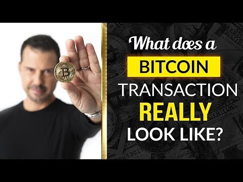 What does a Bitcoin transaction really look like? - George Levy