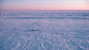 Missing plane in Alaska located; 10 found dead, officials say