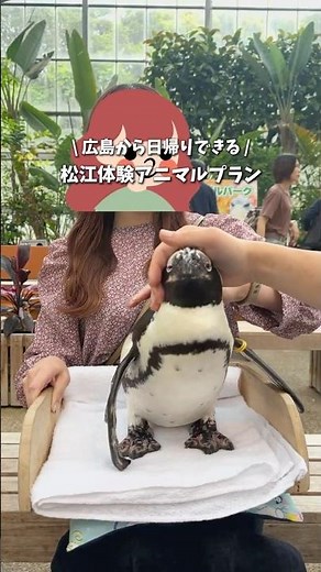 日帰り松江満喫プラン