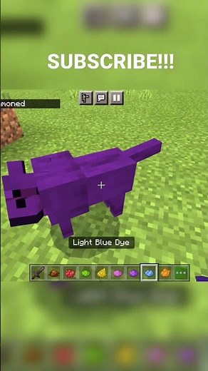 How to spawn a coloured Wolf in Minecraft | CUTE