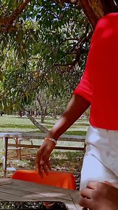 337 reactions · 7 comments | The snake language translator good morning  #funnyvideos #fyp #reels #funny #citiboy | Citi Boy | Facebook