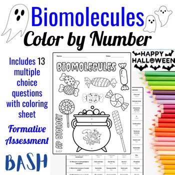 Biomolecules Halloween Color by Number Activity AP Biology Science Worksheet