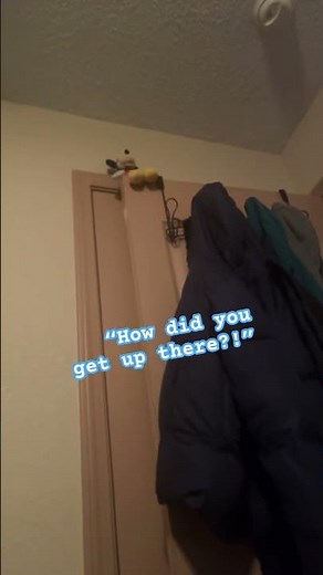 I think Mickey used one of his mousketools bro #meme #funny #mickey #fyp