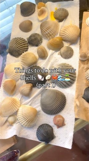 Things to do with Shells PT.1 🥥🐚🦀🌊🏝️ #beach #shells #diy