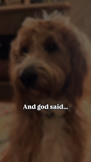 precious angels🥹 | Mayaallthefeels