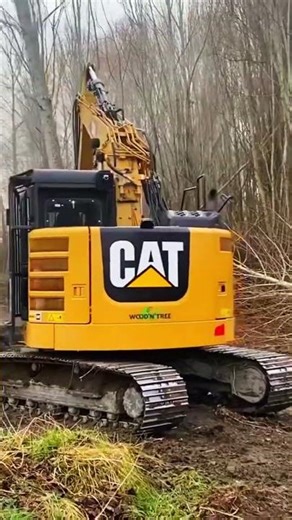 Excavator tree shear cutting riverside trees on Caterpillar | OMEF BI400 Working #forestryequipment