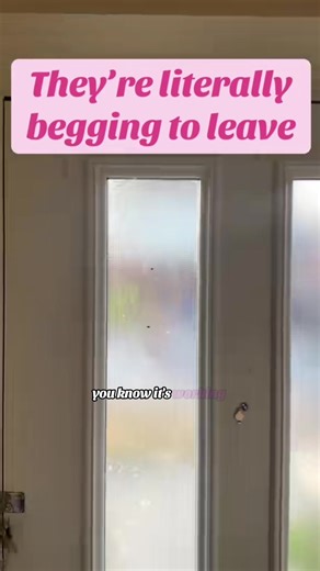 Smart Ultrasonic Rodent & Pest Repeller - 3 Power Modes for Fast, Silent Bug & Mice Control Plug in and watch pests run. This smart repeller uses ultrasonic sound waves to chase away mice, rats, ants, spiders, mosquitoes, and more. Choose from 3 modes: Low - silent & sleep-safe for mice/rats • Mid - gentle sound for ants rodents • High - audible power for mosquitoes, spiders & hidden pests Most rodents are repelled within one week. No chemicals, no stress — just a pest-free home. Linked #RodentR