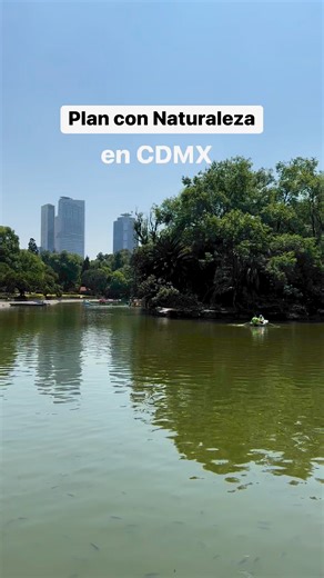 Jalamos a el Lago de Chapultepec donde puedes pasear en el lago desde $85 la hora 💛 | Jalo a Todo