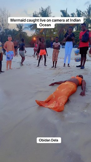 Official Obidan Dela on TikTok