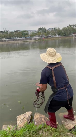 Outdoor Net Fishing Practice | China Fish Hunter Ep210