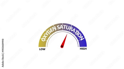 Animated Oxygen saturation level meter increasing from normal to high level. Oxygen saturation Level Text or Word Low to High Meter Concept animation on transparent background. Health meter concept.