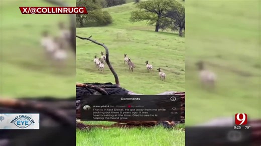 What Caught My Eye: June 13, 2024