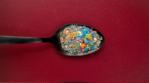 Human brains contain spoonful of microplastics, dementia risk rises