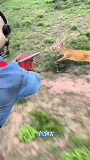 This Net Gun Can Catch Anything!