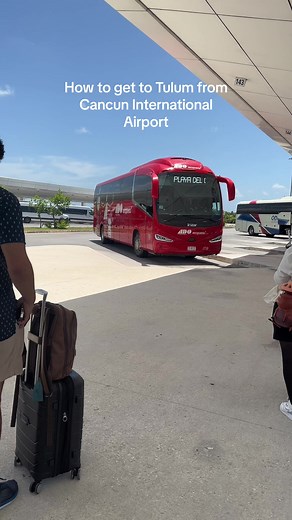 Taylor Cole on TikTok