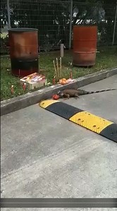 77K views · 734 reactions | Hungry ghost of a different kind....