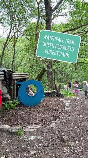 Discover Family Friendly Trails in Aberfoyle