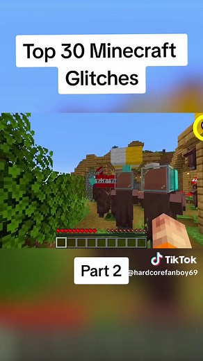 Top 30 Minecraft Glitches