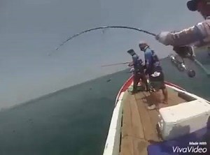 26K views · 408 reactions | Fishing Quote on Reels | Facebook