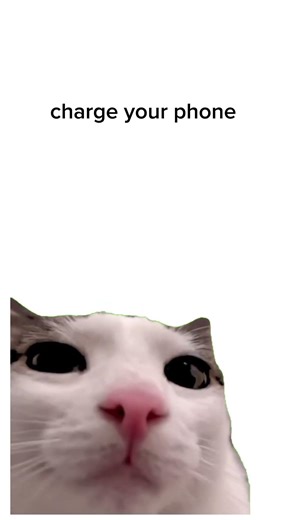 charge your phone😅.... #cat #memes