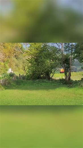Trains Trains Trains on Instagram: "🚂 The British Rail Class 17 “Clayton” — A Diesel That Tried, But Never Quite Triumphed 🚂 Introduced in the early 1960s, the Class 17 was an ambitious attempt by British Rail to replace ageing steam shunters and mixed-traffic engines with a new generation of centre-cab diesel locomotives. Built by the Clayton Equipment Company and Beyer Peacock between 1962 and 1965, these distinctive machines were instantly recognisable by their low profile and central cab —