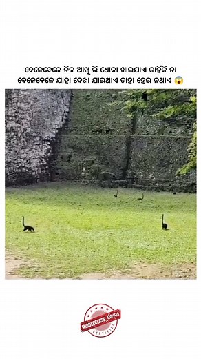 1.5M views · 10K reactions |  ସତ ନା ? ଭଲ ଲାଗିଲେ follow କର ...