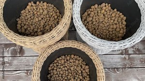 backfilling the drainage system to the bottom of the pot. wicker plant pots.