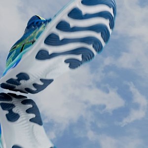 2.5K views · 142 reactions | Ready for a bouncy run full of positivity? The GEL-NIMBUS® 24 shoe has integrated FF BLAST™ Plus foam technology, for a bouncy, energized stride. https://asics.tv/3KM11XX | ASICS | Facebook