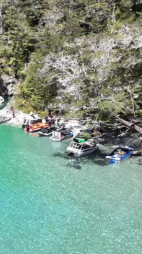 Jet Boating Adventures in New Zealand