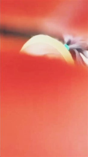 Funny shocked moment 🤣 순간 등장! 심장 멎는 줄 😨 #코미디 #웃긴영상 #hilarious #comedy