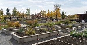 Quels sont les principes de l’agriculture urbaine ?