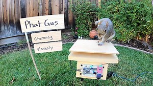 Mark Rober's Crunchlabs - Season 2 Episode 2 - Backyard Squirrel Obstacle Course