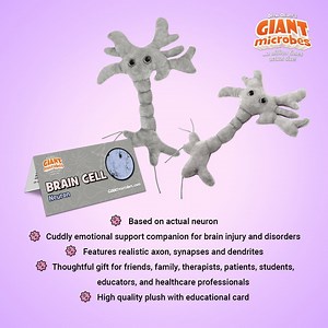 Giantmicrobes Brain Cell Plush, Neuron Plush, Neuroscience Gifts, Science Plush, Psychology Gifts, Psychology Decor, Mental Health Awareness - Etsy