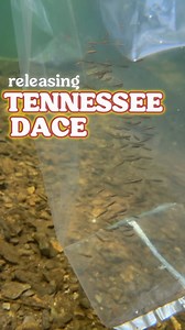 2.7K views · 133 reactions | Join us for one of our many Tennessee...