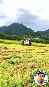 Kubota mini combine harvester machine🔥 #kubota #miniharvester #combineharvester #harvester #agriculture #farming #machine | 𝘽𝙡𝙪𝙚 𝘾𝙝𝙚𝙢𝙥