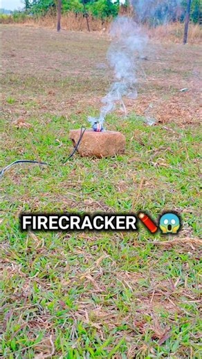 Remote Control Fireworks! 😯 #firecracker #viral