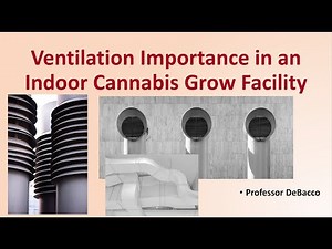 Ventilation Importance in an Indoor Cannabis Grow Facility