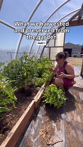 Basil pesto is a staple in our house and you can’t beat the amazing taste of homemade! Plus it’s so easy, you have to do it! Basil Pesto Recipe (Quadrupled) Ingredients: 4 cups basil 4 cloves garlic (we like extra and added about 8) 1 cup parmesan cheese 3 TBSP of lemon juice 3/4 cup toasted nuts of choice (pine nuts, pecans, walnuts etc) 1 cup of olive oil (add more if you like a thinner consistency) Salt and pepper to taste Makes 3 1/2 jelly canning jars worth. Directions: 1. Toast your nuts i