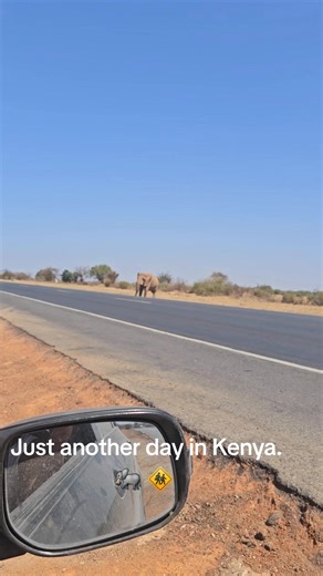 Encountering Elephants on the Nairobi Highway