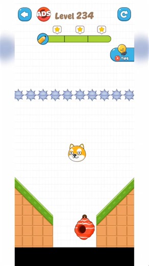 save the pets Honey Bee 🐱🐝🐱🐝#shorts #gaming #explore #short #viral #trending #feed #reel #reach #fyp