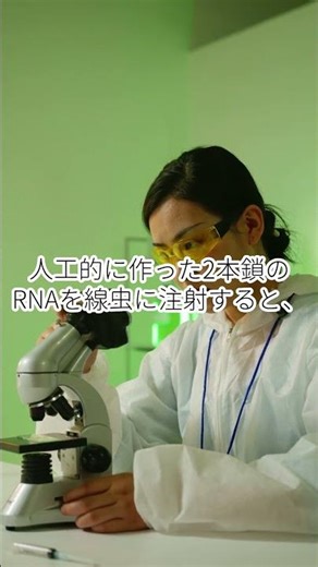 【最強の実験動物】体長1ミリ！透明な「線虫」が世界の科学を支えている理由🐛🧬#線虫 #Celegans #RNA干渉 #RNAi #バイオテクノロジー #遺伝子 #科学 #理系 #生命科学